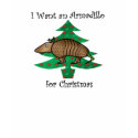 I want an armadillo for christmas t-shirts