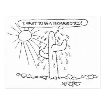 I want to be a Snowbird too! Postcard