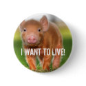 I WANT TO LIVE! buttons