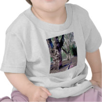 I want to Walk with Abraham-Hicks! Tee Shirts