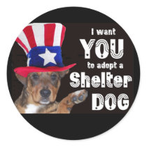 I want YOU to adopt a SHELTER DOG stickers
