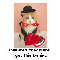 I wanted chocolate. t-shirts by myrtieshuman I wanted chocolate. t-shirts