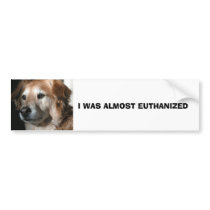 I WAS ALMOST EUTHANIZED BUMPER STICKER