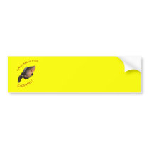 I Was Made for Fishing Bumper Stickers