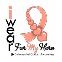 I Wear Endometrial Cancer Ribbon For My Hero t-shirts