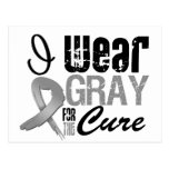 I Wear Gray Awareness Ribbon For The Cure Post Cards