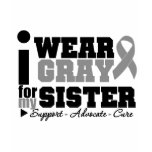 I Wear Gray Ribbon For My Sister t-shirts