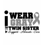 I Wear Gray Ribbon For My Twin Sister t-shirts