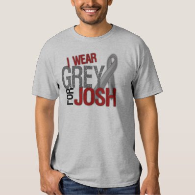 I Wear Grey for Josh #teamJOSH Shirt