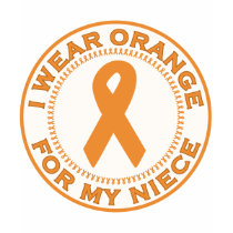 I Wear Orange For My Niece t-shirts