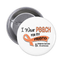 I Wear Peach 42 Friend Uterine Cancer Pins