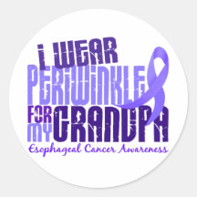 I Wear Periwinkle Grandpa 6.4 Esophageal Cancer Stickers