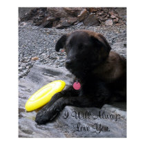 I Will Always Love You Poster posters