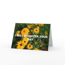 I WILL BRIGHTEN YOUR DAY cards