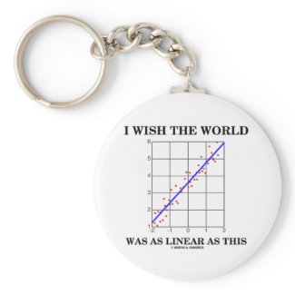 I Wish The World Was As Linear As This (Stats) Key Chains