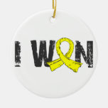 I Won Testicular Cancer Ornament