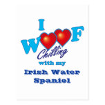 I Woof Irish Water Spaniel Postcard