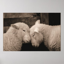I Woolly Love Ewe (Sepia) Print