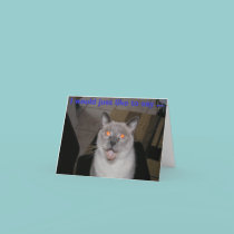 I would just like to say ... Happy Birthday! cards