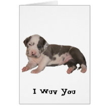 I Wuv You Card
