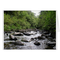 Iao River, Maui, Hawaii cards by CharlieX Iao River, Maui, Hawaii cards
