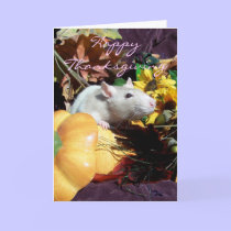 IARW Happy Thanksgiving cards