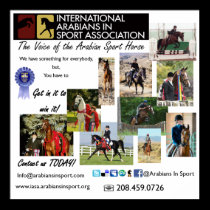 IASA Poster posters