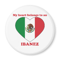 Ibanez magnets by ValentinesDayTshirts Ibanez magnets