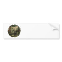 Iberian Lynx Bumper Stickers