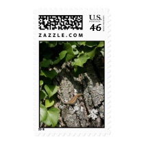 Iberian Rock Lizard - Endangered postage by moonrisings Iberian Rock Lizard - Endangered postage