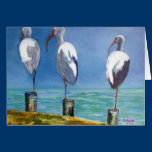 Ibis Design cards