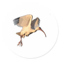 Ibis Drawing stickers