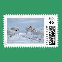 Ibis in Snow" stamps