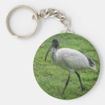 Ibis Keychain
