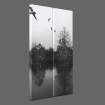 Ibis of the Cyprus canvas prints
