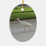 Ibis Walking Ornament