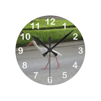 Ibis Walking Wall Clock
