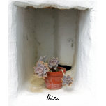 Ibiza Flowers T-shirts