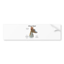 Ibizan Hound History Design Bumper Stickers