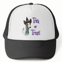 Ibizan Hound Trick hats
