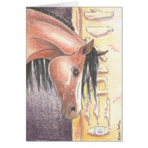 "Ibn Denah" cards