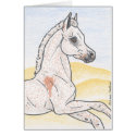 "Ibn Shai Hulud" cards by smilodonart "Ibn Shai Hulud" cards