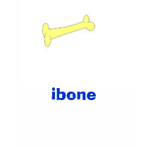 ibone t-shirts