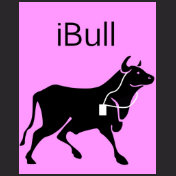 iBull