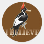 IBWO: I Believe Sticker