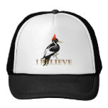 IBWO: I Believe Trucker Hat