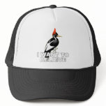 IBWO: I Want To Believe Mesh Hat