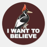 IBWO: I Want To Believe Round Stickers