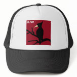 IBWO: iLive Mesh Hats