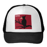 IBWO: iLive Mesh Hats